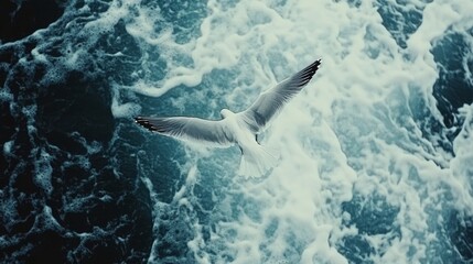 Obraz premium A seagull soars majestically over crashing waves, embracing freedom and nature's untamed spirit.