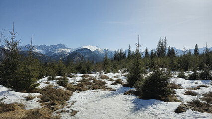 View of the peaks of the Tatra Mountains in Poland.