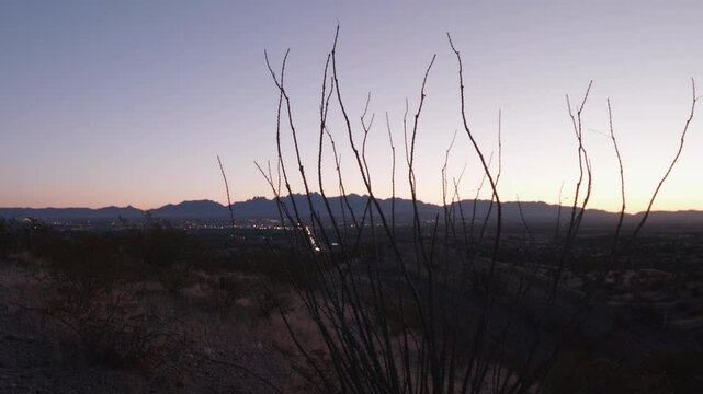 Las Cruces Early Sunrise