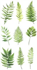 Watercolor Botanical Illustration of Lush Green Leaves