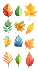 Obraz premium Autumn Leaves Watercolor Illustration - Colorful Leaf Collection