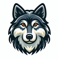 animal, nature, wild, wildlife, wolf, dog, mammal, fur, predator, grey, canine, gray, beast, white, forest, hunter, beautiful, portrait, isolated, gray wolf, background, furry, carnivore, creature, ca