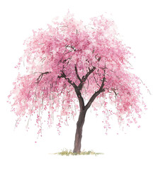 Obraz premium Pink Cherry Blossom Tree