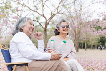 Fototapeta premium Two elderly women sit on foldable chairs under blooming cherry blossom trees, enjoying a refreshing drink from bottled water. They are relaxed, smiling, and sharing a peaceful moment in nature.