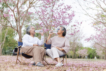 Fototapeta premium Two elderly women sit on foldable chairs under blooming cherry blossom trees, enjoying a refreshing drink from bottled water. They are relaxed, smiling, and sharing a peaceful moment in nature.