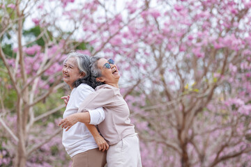 Two elderly women share a joyful moment, laughing and embracing under blooming cherry blossoms....