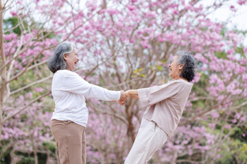 Two elderly women share a joyful moment, laughing and holding hands under blooming cherry blossom...