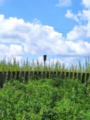 Obraz premium Village scene with a wooden fence, ideal for blogs, websites, and educational materials on rural living