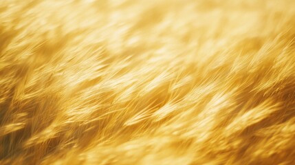 Fototapeta premium Golden wheat sways gently in the breeze, capturing the warmth of the sun and painting a picture of harvest abundance and natural splendor.