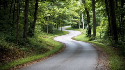 Obraz premium A winding road under a lush green canopy whispers promises of calm and exploration through verdant forests.