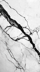Obraz premium Marble's Veins: An elegant close-up unveils the intricate patterns of marble, with its stark contrast of veins and delicate textures, an abstract symphony of nature's artistry.