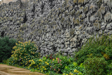 Garden landscape design. Decorative wall made of dark gray stone blocks or concrete cement bricks. Garden decorative trimmed shrubs or bushes are fenced with rocky stones masonry. High quality photo