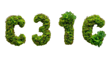 Set of green moss punctuation marks, top view --ar 16:9