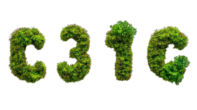 Set of green moss punctuation marks, top view --ar 16:9