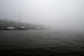 Fototapeta premium Foggy morning at the River Elbe, Hamburg, Germany