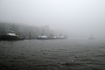 Foggy morning at the River Elbe, Hamburg, Germany
