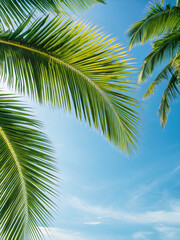 Lush Green Palm Leaves Against Bright Blue Sky in Tropical Paradise Setting