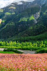mountain landscape with river