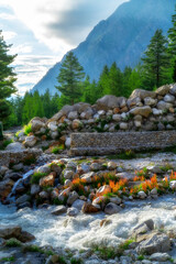 mountain river in the mountains