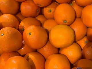 oranges in the market