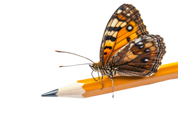 The butterfly landed on the pencil isolated on a white background PNG. AI GENERATED