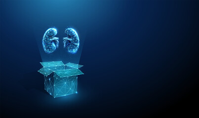 Abstract blue open box and human kidneys. Organ transplantation concept. Low poly futuristic digital technology neon style.
