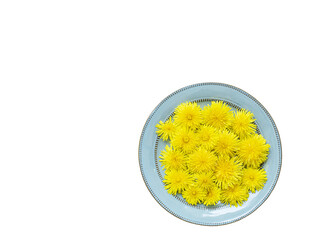  blue plate with yellow bright flowers of dandelions  flat lay top view. Isolated on white background. Isolated on transparent. png format.
