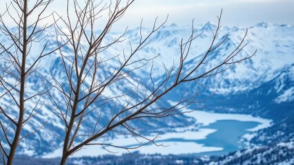 Bare tree branches against a backdrop of rugged snow-covered mountains with frozen lakes, bare, winter