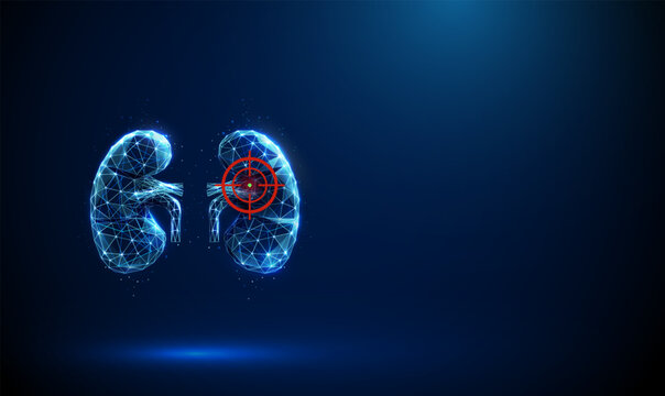 Blue human kidneys with a target sign. Kidney disease, inflammation, fibrosis, medical treatment, and diagnostic concept.