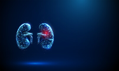 Abstract blue kidneys with red spot. Kidneys deseases, medical treatment and pharmacy concept Low poly style