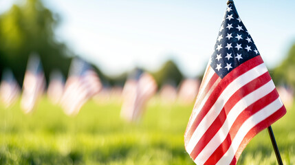 A solemn tribute of American flags honoring veterans