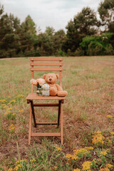 Teddy sitzt auf Holzstuhl mit Rosen und Gänseblümchen auf einer Wiese - Geburtstag, Freude, Liebe