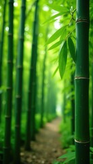 Fototapeta premium Tall green bamboo stalks in the background with a peach tree in focus, green, tree, bamboo