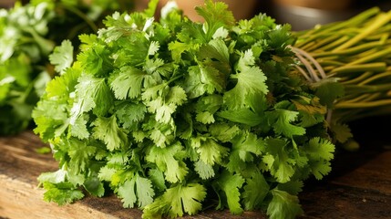 A vibrant bunch of fresh cilantro, its slender leaves radiating with a cool, verdant hue, awaited its culinary destiny, poised to add a burst of freshness and aromatic zest to any dish.