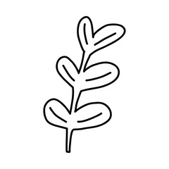 Hand drawn plant with leaves, outline doodle vector illustration isolated on white background. Monochrome botanical nature element.