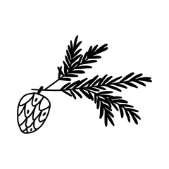 Hand drawn pine cone with branch in cute doodle style, vector illustration isolated on white background. Winter botany and Christmas decor design element.