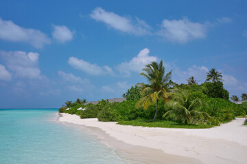 Plaża, Malediwy © Piotr