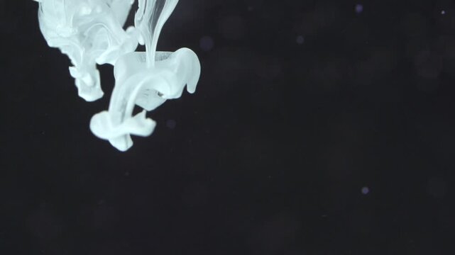 【Experiment】ARTS White liquid in water
