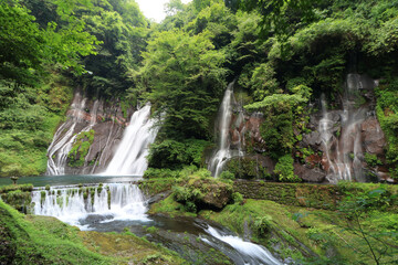新緑のなかの滝