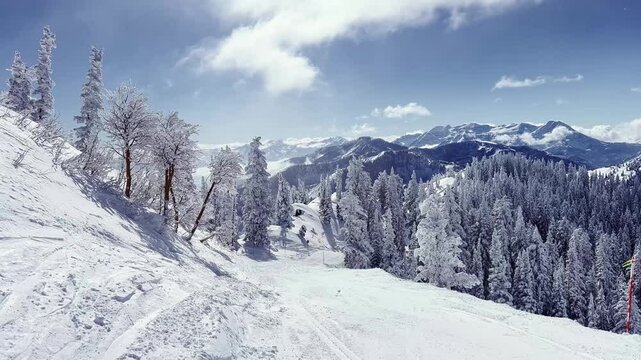 Landscape wide shot tilting up to reveal a stunning snowy rocky mountain range covered in pine trees from Brighton Ski Resort in Utah, USA on a sunny winter day from an empty snowy ski path