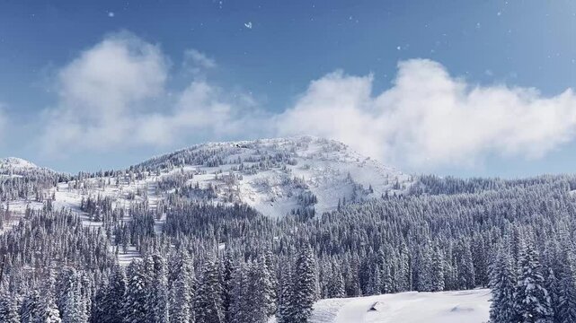 Landscape wide shot of a stunning snowy rocky mountains covered in pine trees from Brighton Ski Resort in Utah, USA on a sunny winter day with skiers below on a ski path