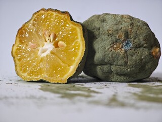 Moldy fruit reveals the cycle of decay and the beauty in imperfection captured in still life...