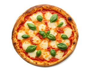 Delicious Margherita pizza with mozzarella and basil.