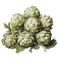 Obraz premium Fresh Artichokes with Green Buds Isolated on Transparent Background