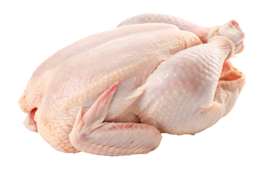 Raw whole chicken ready for cooking.