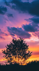 Obraz premium Sunset Silhouette: A solitary tree stands in silhouette against a breathtaking sunset painted with vibrant hues, creating a scene of serene beauty and the majesty of nature.
