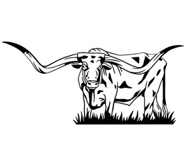 Texas longhorn vector. Design element for poster, t-shirt print, banner. Texas longhorn cattle head and body icon	
