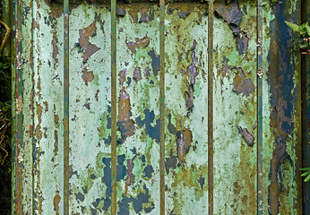 Old metal gate with peeling paint