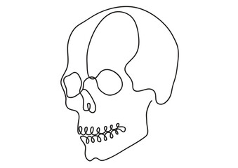 black and white vector continuous line drawing of human skull isolated on white background