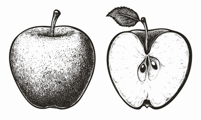Whole and halved apple in black and white, flat icons set, vector.